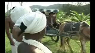 Kao Negras da сензала